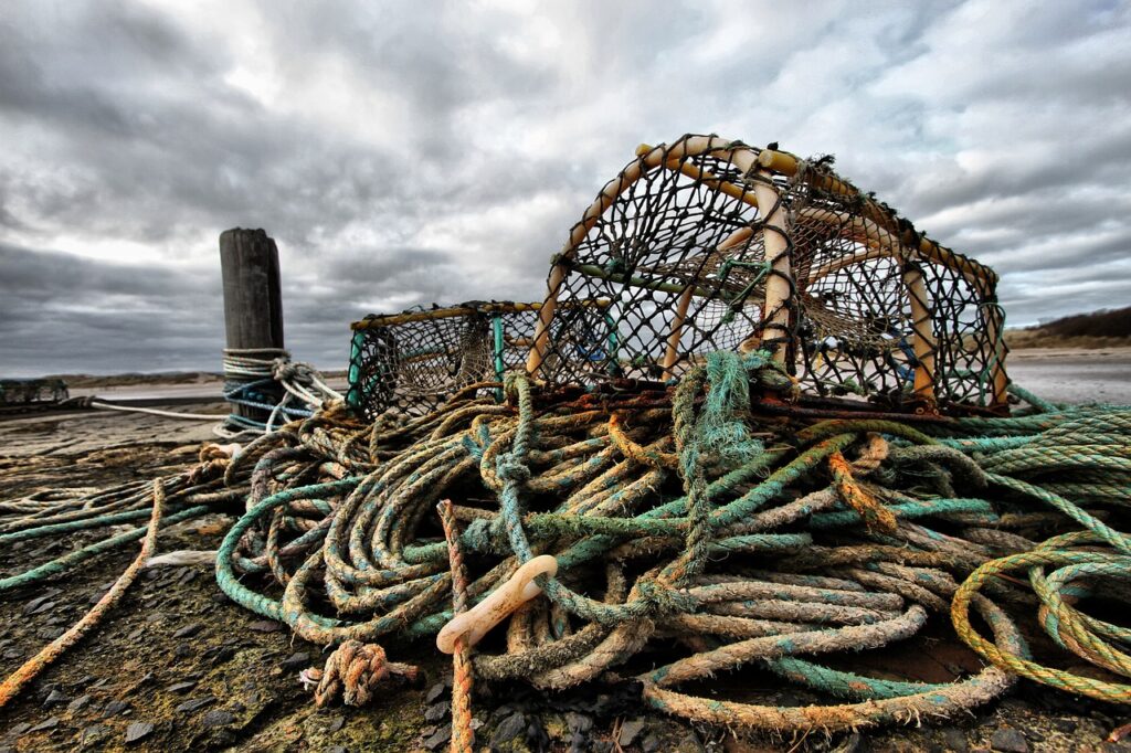 pot, nature, crab pot-1063744.jpg